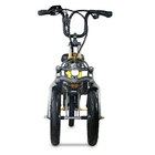 Fast Lightweight Three Wheel Electric Trike Convenient Easy Folding
