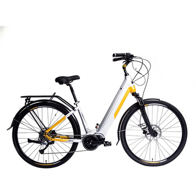 200 watts batterie portative de vélo électrique de 12 pouces limite de poids de 300 livres 30 km/h