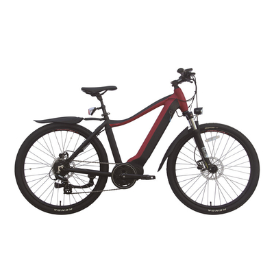 vélo électrique se pliant portatif du moteur E de hub du vélo 350w avec la batterie démontable 36V 10Ah