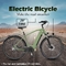 vélo électrique de ville de 250watt 36v frein à disque hydraulique d'alliage d'aluminium de 27,5 pouces