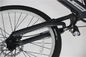 le cadre électrique portatif Xs du vélo XL de 36v 200w encadrent le noir de 12 pouces