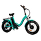 Cycle électrique se pliant électrique du vélo 500w 48v 25km/H de petite roue adulte pliable