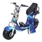 Deux charge électrique du scooter 1500w 60v 12ah 200kg de Citycoco de golf de Seat