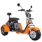 Scooter électrique 2000w 1000w 1500w de roue du tricycle 3 de la CEE Citycoco