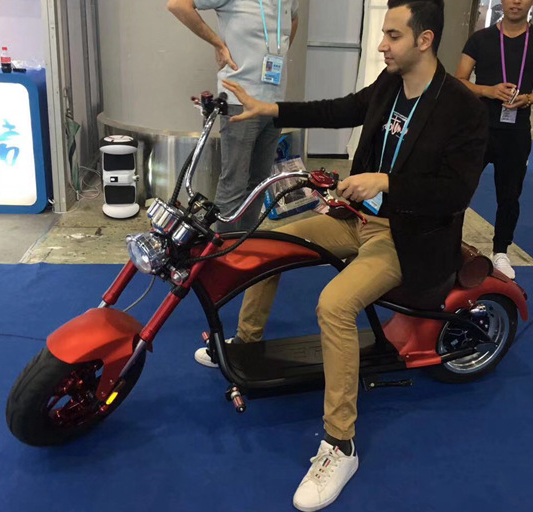 les personnes âgées de gros pneu de Citycoco de route de Harley Electric Scooter Bike Off de la roue 1000W 3 montent des tricycles 41