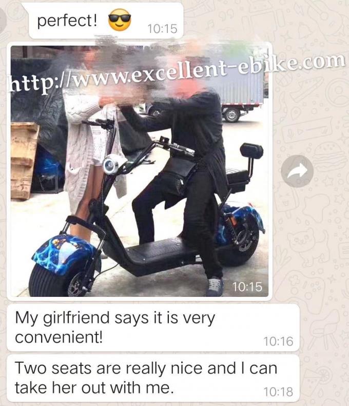 les personnes âgées de gros pneu de Citycoco de route de Harley Electric Scooter Bike Off de la roue 1000W 3 montent des tricycles 43