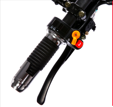 La CEE Coc a approuvé la batterie démontable électrique du scooter 1000w 1500w 2000w de Citycoco 3