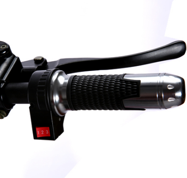 La CEE Coc a approuvé la batterie démontable électrique du scooter 1000w 1500w 2000w de Citycoco 4