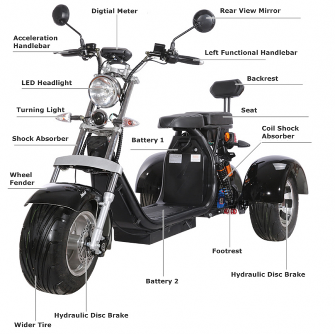 les personnes âgées de gros pneu de Citycoco de route de Harley Electric Scooter Bike Off de la roue 1000W 3 montent des tricycles 0