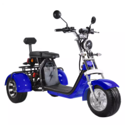 les personnes âgées de gros pneu de Citycoco de route de Harley Electric Scooter Bike Off de la roue 1000W 3 montent des tricycles 4