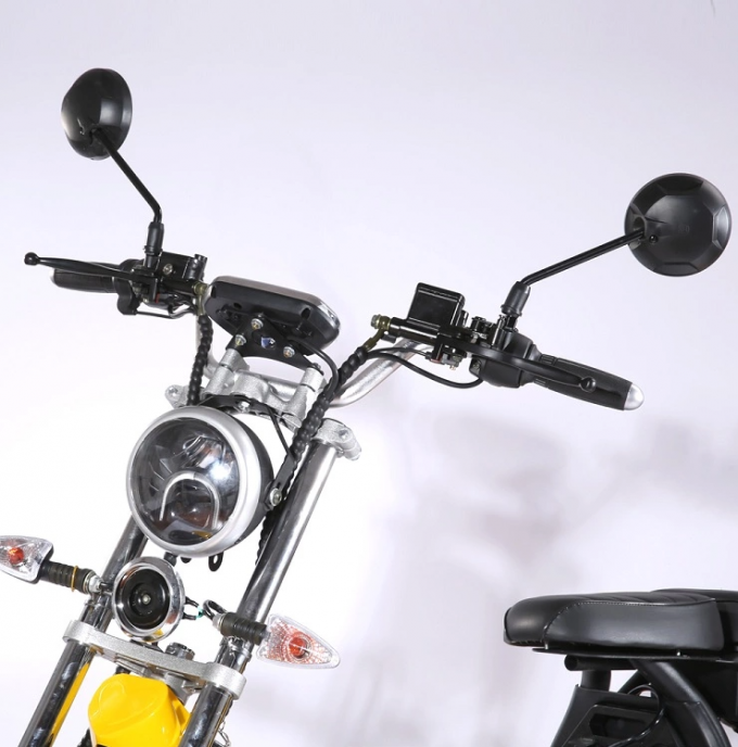 les personnes âgées de gros pneu de Citycoco de route de Harley Electric Scooter Bike Off de la roue 1000W 3 montent des tricycles 8