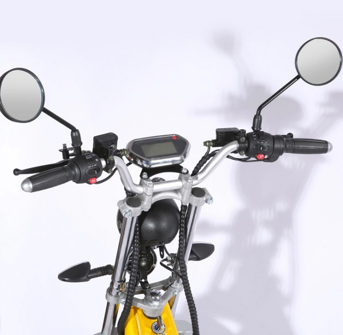 les personnes âgées de gros pneu de Citycoco de route de Harley Electric Scooter Bike Off de la roue 1000W 3 montent des tricycles 9
