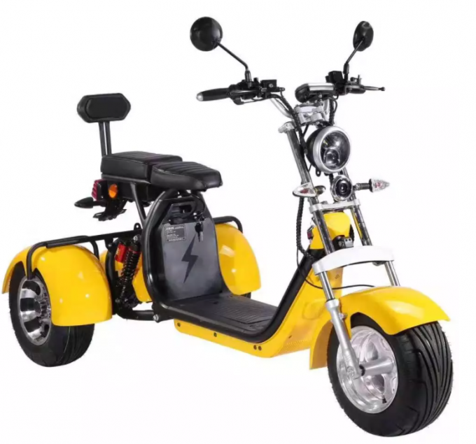 les personnes âgées de gros pneu de Citycoco de route de Harley Electric Scooter Bike Off de la roue 1000W 3 montent des tricycles 13