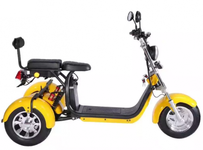 les personnes âgées de gros pneu de Citycoco de route de Harley Electric Scooter Bike Off de la roue 1000W 3 montent des tricycles 14