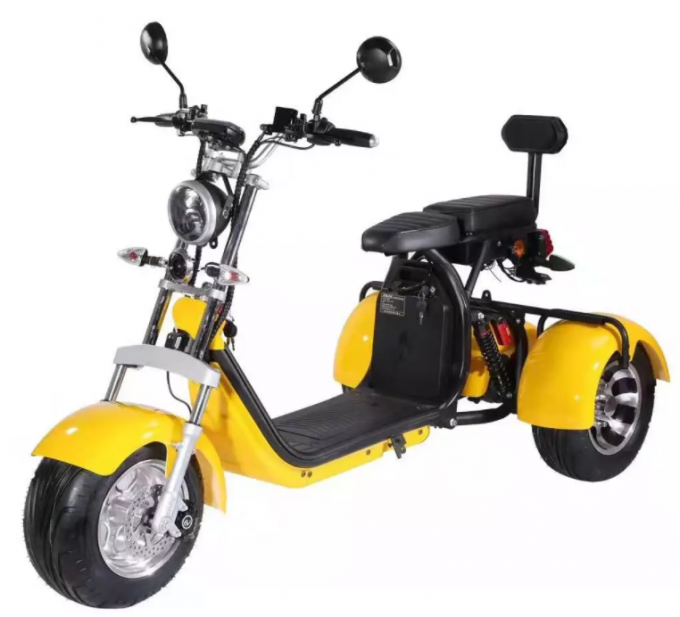 les personnes âgées de gros pneu de Citycoco de route de Harley Electric Scooter Bike Off de la roue 1000W 3 montent des tricycles 15