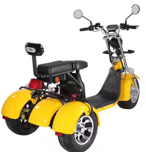 les personnes âgées de gros pneu de Citycoco de route de Harley Electric Scooter Bike Off de la roue 1000W 3 montent des tricycles 17