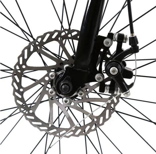 moteur de ville de 250W 750w double de batterie électrique du vélo 16.5AH pour des adultes 1