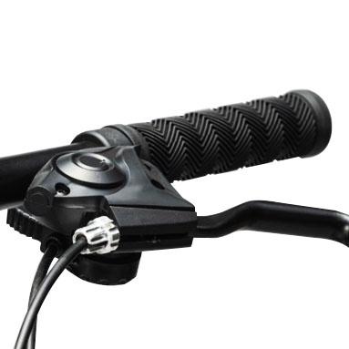 moteur de ville de 250W 750w double de batterie électrique du vélo 16.5AH pour des adultes 6