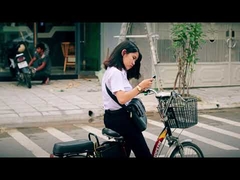 250w faible coût 48v écran lcd ville vélo électrique hors route ue 20 pouces 36V vélo électrique