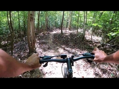 Moteur de moyeu de gros pneu 250w 750w, vélo électrique d'entrepôt britannique 29 en chine