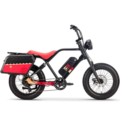 pneu de la batterie 48v 20AH de bicyclette de 250W 750w Elektrische Fiets gros pour des adultes